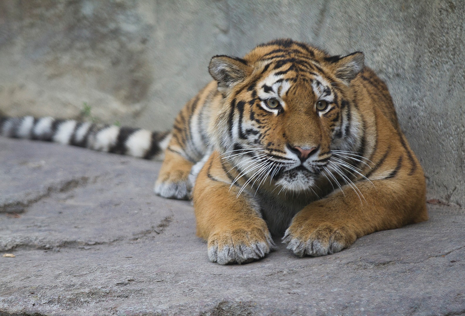 Sie hat etwas entdeckt...